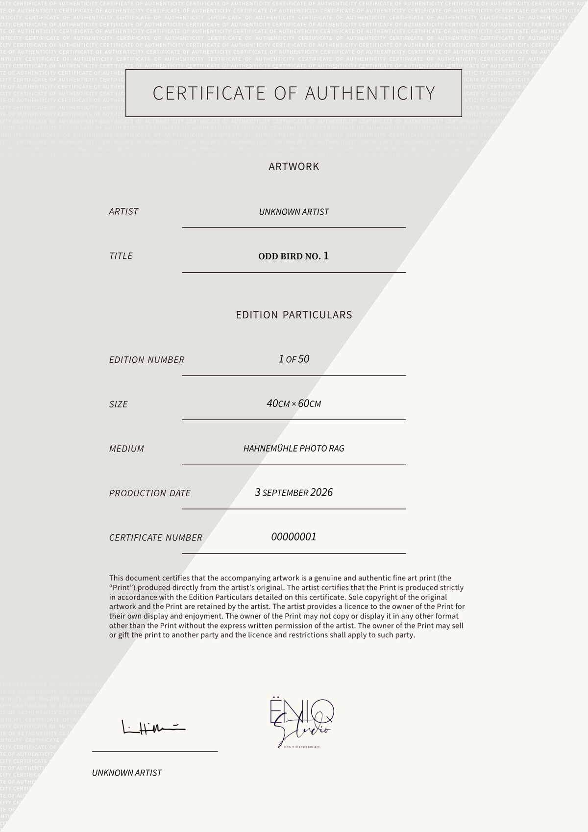 Odd Bird No. 1 — Certificate of Authenticity